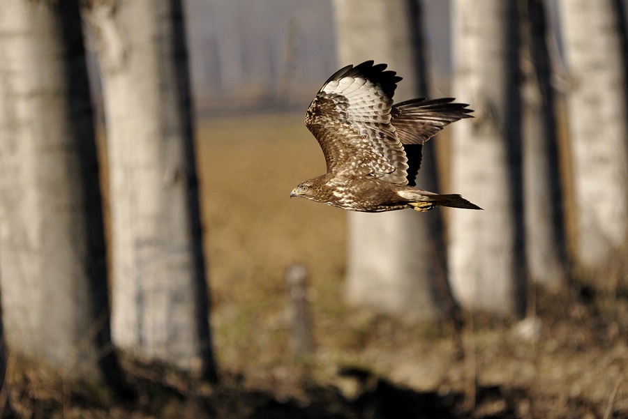 Ho voglia d''aria, esco a farmi un giro